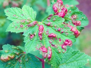 ��� �������� ��������� �� ������� ����� �� �������