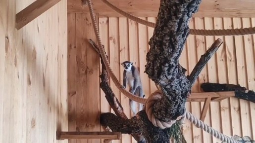 ��� � ����: ����������� � ������� �������� ������� � ��������������� ��������!