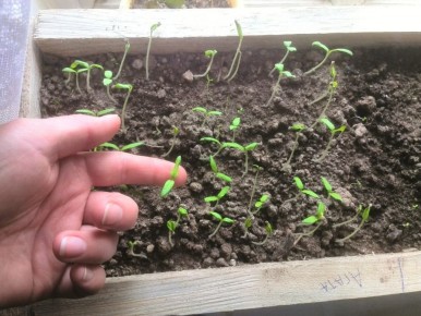 ����������� ������� ��� ���������� ������� ���������