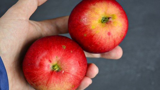 ��������������� �������� ����� �� ���� �����: ������, ������ � ������