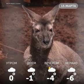 Доброе утро, омичи!. Хорошего вам дня и отличного настроения!