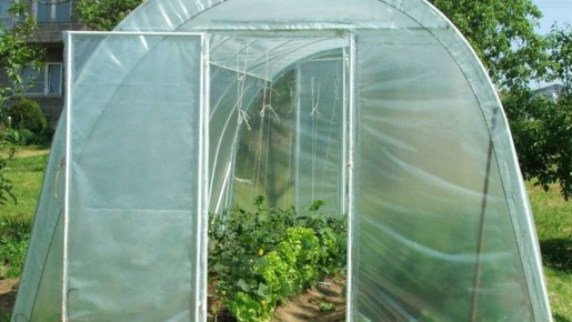 ��� ��������� ����������� ������� � �����?