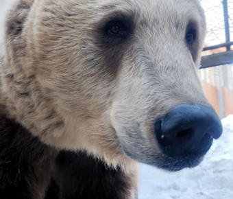 � ������ ������� ������ ����� - � ��������������� �������� ���������� ������ �������