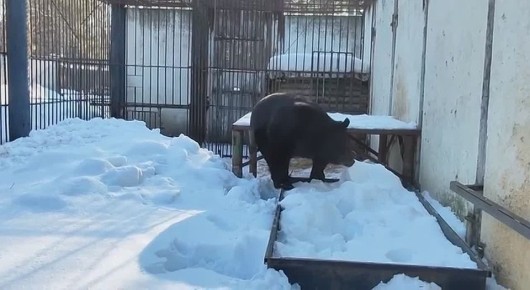 � ��������������� �������� ������� ����� �� ������