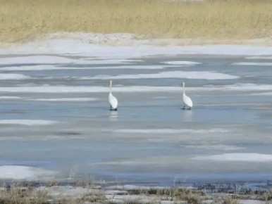 � ������ ������� ��������� ������