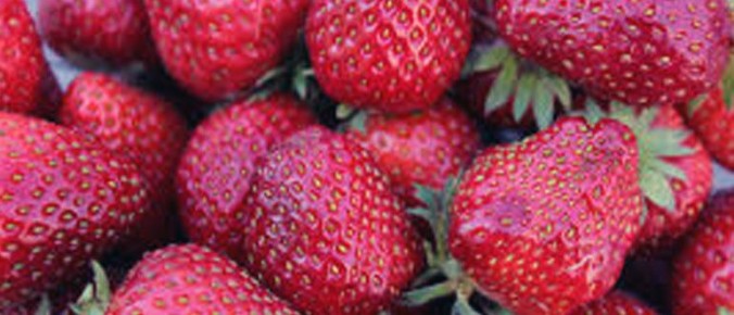 ��� ��������� ��������� �������� �������� ����� � �����������