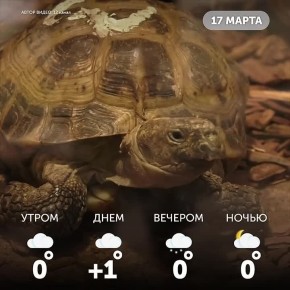 ������ ����, �����!. ����� ������� �� ����� �����, ��� �������