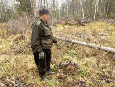 � ����-����� ��� ����� ������������� �������� 56-������� �������� ������