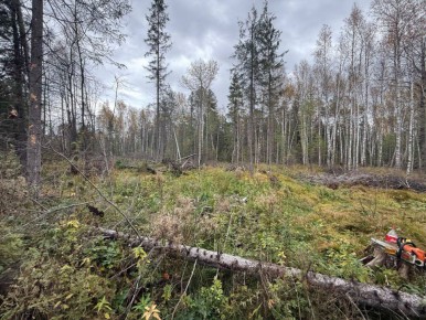 � ����-����� ������� �������� �������� ������ �� ���������� ����� ����