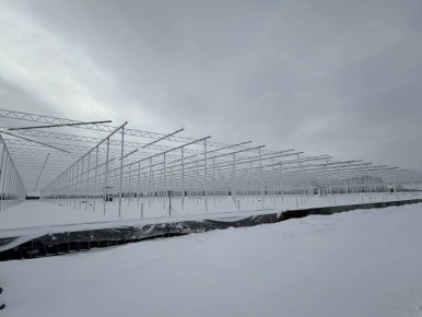 ������� �������: � ���� ������ ������� ������ �� ���������� � 20 �� ������������ ������������� ������������ ���������� ���������