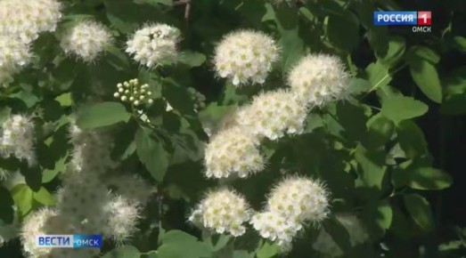 ���������� ����� ��������� �������� ��������