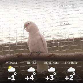 ������ ����, �����!. � ������� ��������! ������ �������� ���������� � ������� ��� ������