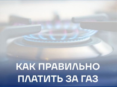 ������� �����������, �������� � ����������� ������� ��������� ������ ������ ������ �������������