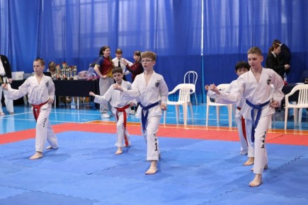 Региональные соревнования по тхэквондо ИТФ «Кубок Содружества» собрал порядка 700 спортсменов из 11 регионов