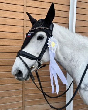 � ��������������� ����� ����������� ���������� �������� ������ ��������� � ���������� ������� �� ������� ������, ������� ������� ���������� �� ������ � ������������� ��������