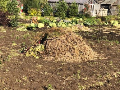 ��� ������� ������� � ���� ������������ � �������� ���������