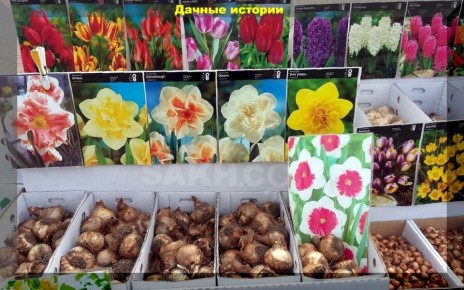 ��� ��������� �������������� �������� �� �������: ������� ������ ��� ���������