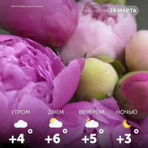 Доброе утро, омичи!. Желаем лёгкого утра и приятных моментов