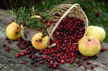 ����� �����: 5 �������� �������� ��� ������ ����