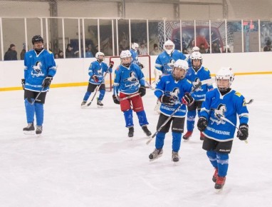 В Таврическом состоялись матчи 4-го зонального этапа 12-го первенства региона по хоккею среди дворовых команд «Омские орлята» на призы партии «ЕДИНАЯ РОССИЯ»