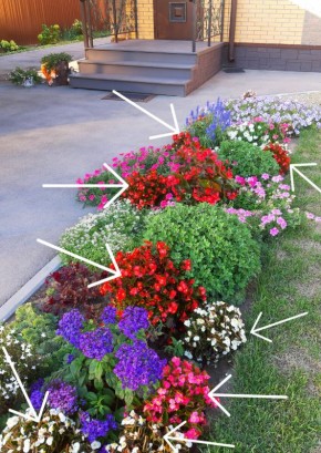 ��� ������� �������� ��� � ����� �� �������