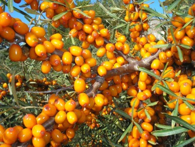 ��������: ��� ��������� ��������� ����� � ����� ����