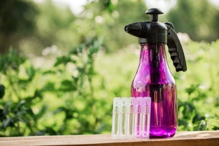 ����������� � �������: ������� ��� ��������� �������