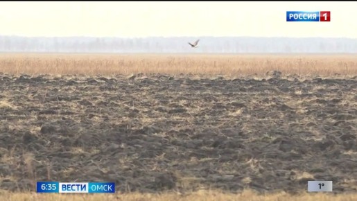 � ������ ������� ����������� ����� �� �����