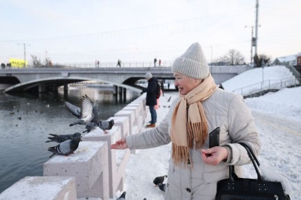 Как белорусы могут получить пенсию, отработав всего пять лет