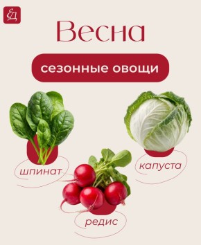 ����� �� �������: �����, ������ ���������