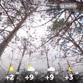 Доброе утро, омичи!. Желаем вам яркого настроения и побольше солнечных дней!