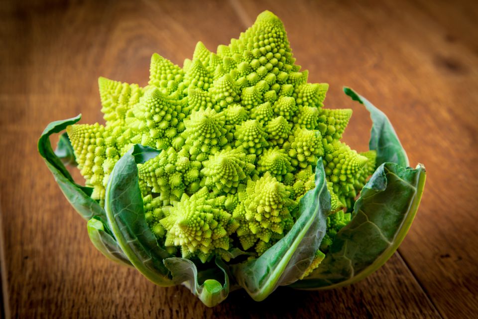 ���������: ����������� �������, ������� �������� ������