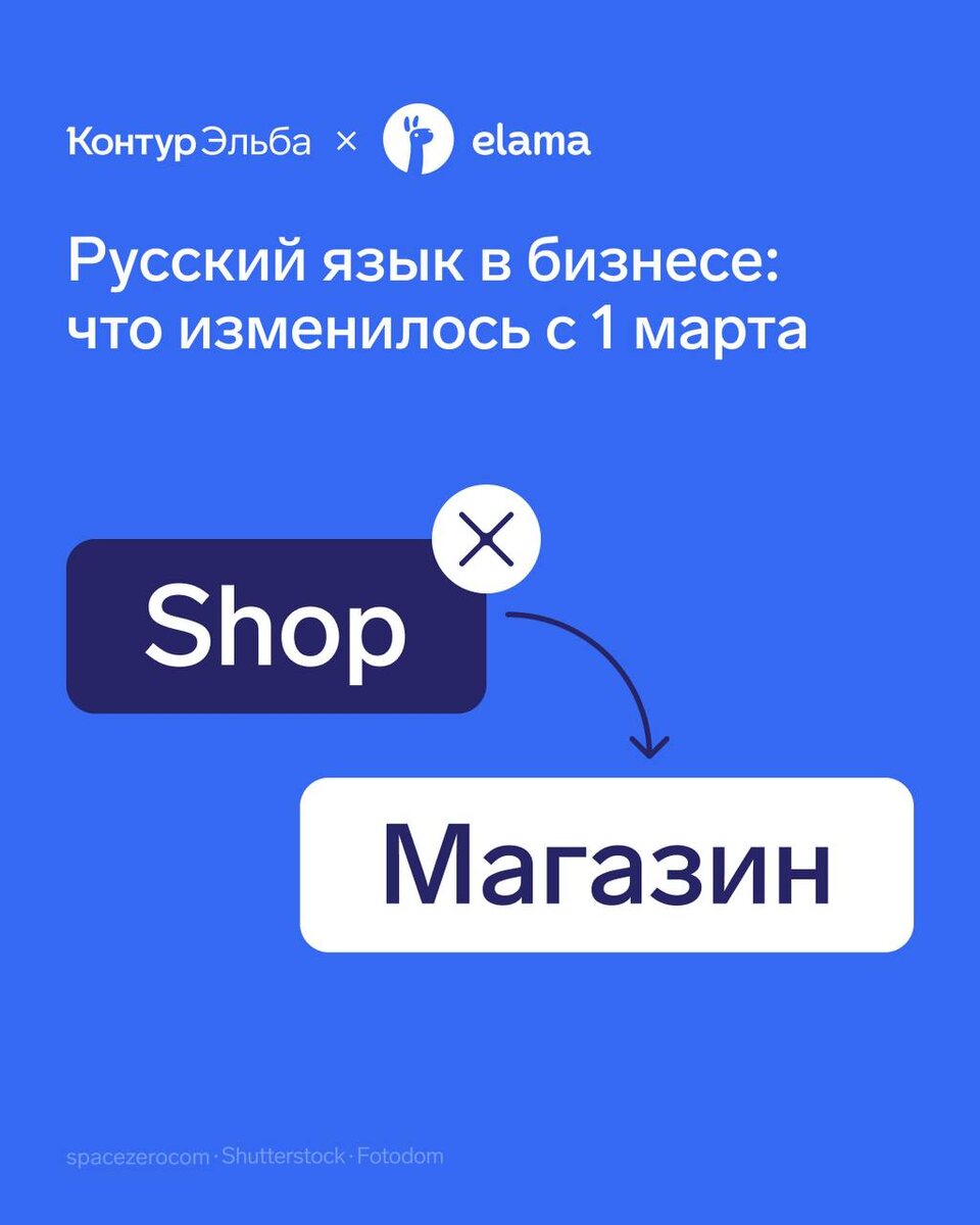 Глобальные изменения в языковой политике: закон о запрете иностранных слов