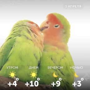 Доброе утро, омичи!. Пусть этот день будет полон смеха и хорошего настроения!