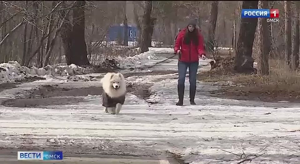 � 1 ������ � ������ ��������� ���������� ��������������� �������� �� ����� ���� �� ��������� ����