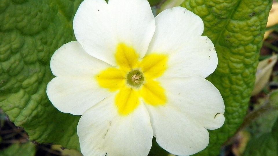 ������ ����� ����� ����� ��� �������� ��������� ��������