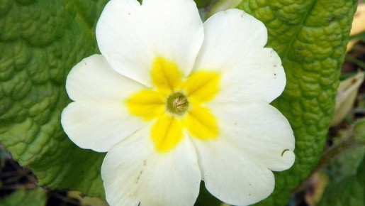 ������ ����� ����� ����� ��� �������� ��������� ��������