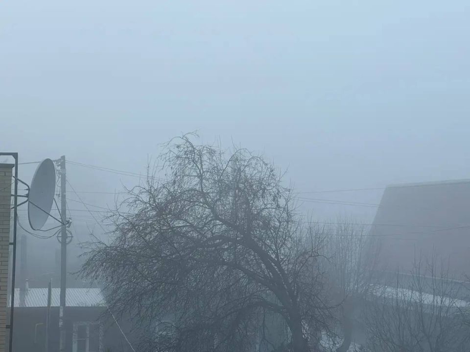 ������ ����, �����! ������� ����� ���� ������ ������ �����. �������� ����� �������� ����������. ����� ����������� �� ��������� ������� � �� ���������� �������. � ��������� ��������� ��������� ������