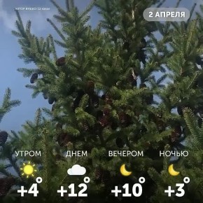 ������ ����, �����!. ������ ���� ��������, ������������� ��� � �������� ��������