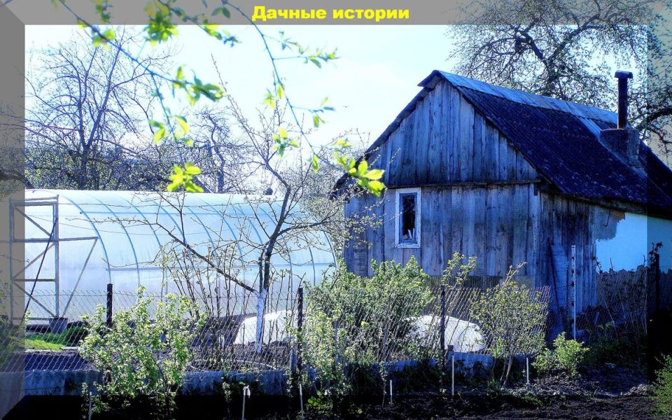 ��� �������� ����� ��������� �������� ��������: �� ������ �� �������