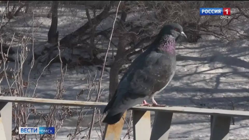 ������ ������ ������ �������� � ���� ������ ����������