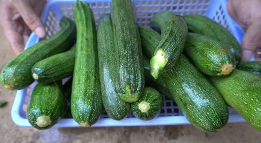 ����� ������� �������� ������ ������ �������: ��������� ������� "�����" ������