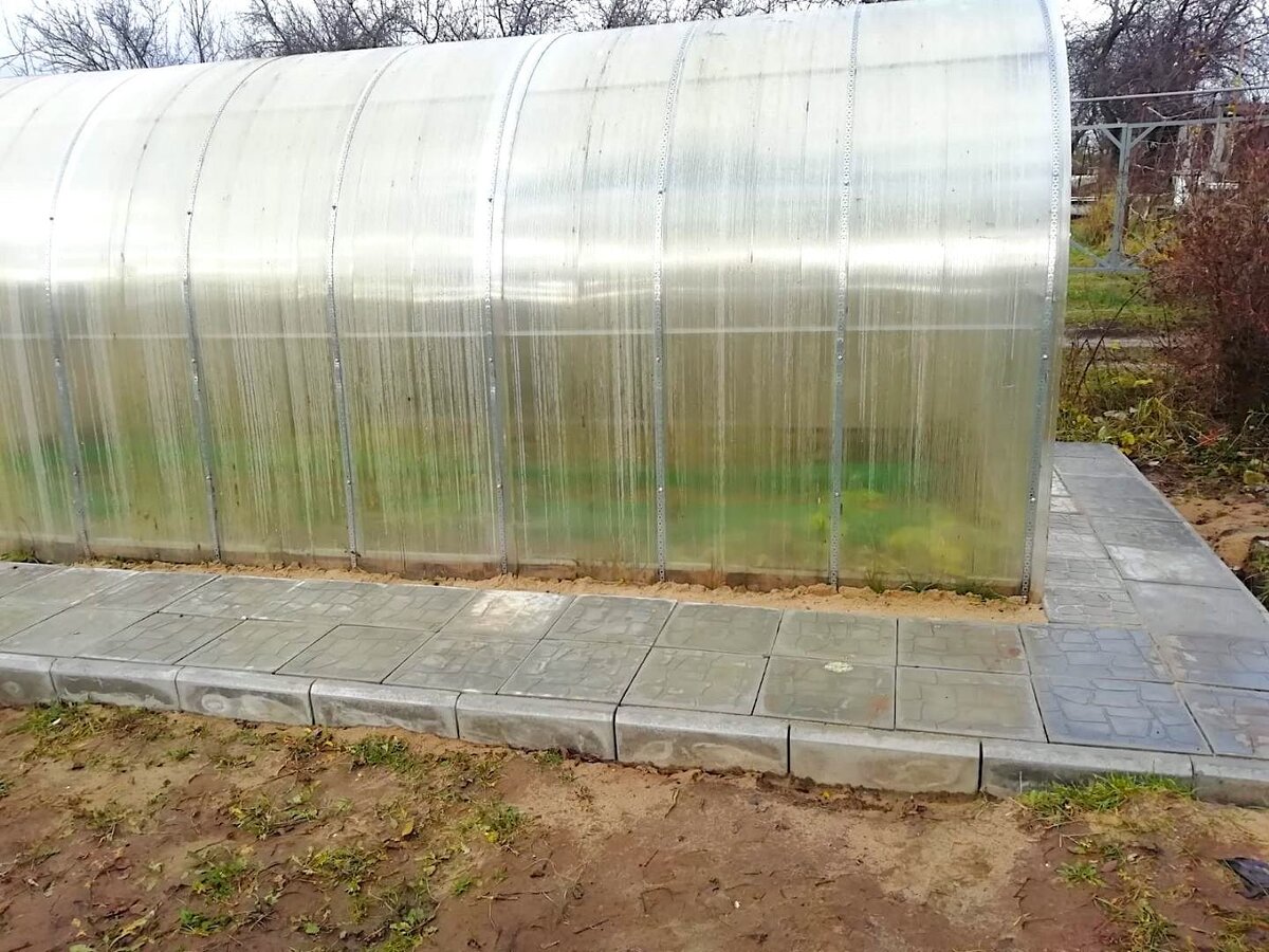 Как дачная дорожка стала реальностью благодаря мембране PLANTER Geo