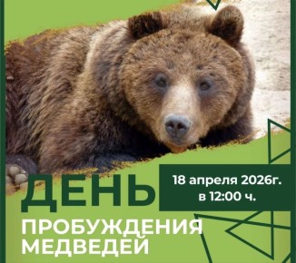 ���������� ��������? ���������� ��������� ���� ������, ��������� ��� ��������� ������ � ����������� ���� ������ � �����������!