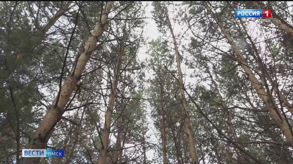 � 7 ������ � ����� ������ ������������� �����