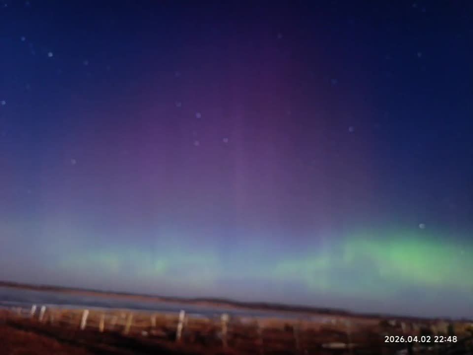 ��� ������ �������� ����� ���� ����� �������� ������