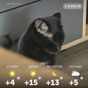 ������ ����, �����!. ����� ��� ���������� ���������� �����, � ������ ����� ������ ������ ����