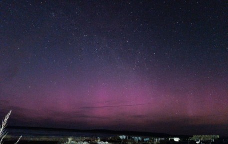 �������� ������ ����� �������� ��� ������ ��������