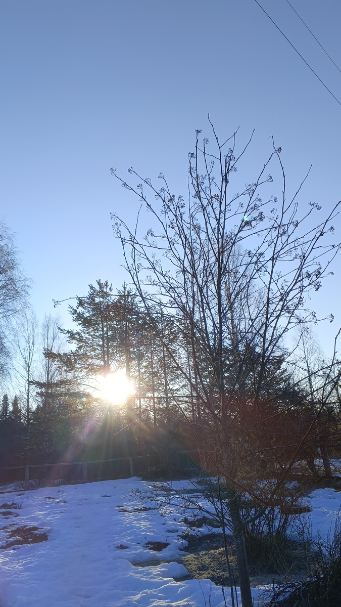 Тишина лесного посёлка: третий месяц в родном доме