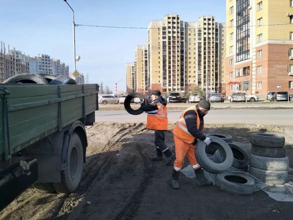 � �������� ����� � ������� �� ���������� ������-�������� ���� ���� ������������� 195 ������ ������� � 239 �������